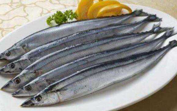 刀鱼和带鱼的区别，吃刀鱼的好处（刀鱼和带鱼哪个有营养）