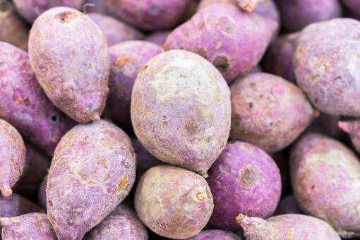紫薯的功效与作用有哪些 紫薯有哪些功效和作用