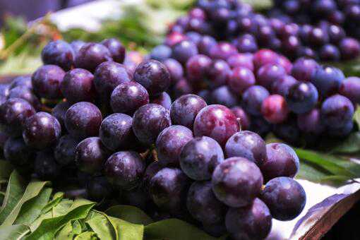 吃葡萄过敏了怎么办