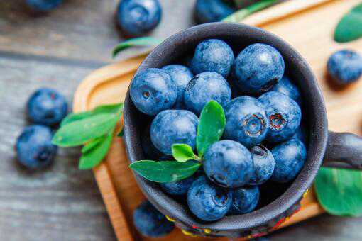 一亩地能收多少斤蓝莓（蓝莓一亩地能产多少斤）