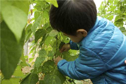 2020年农村创业项目之休闲农家乐