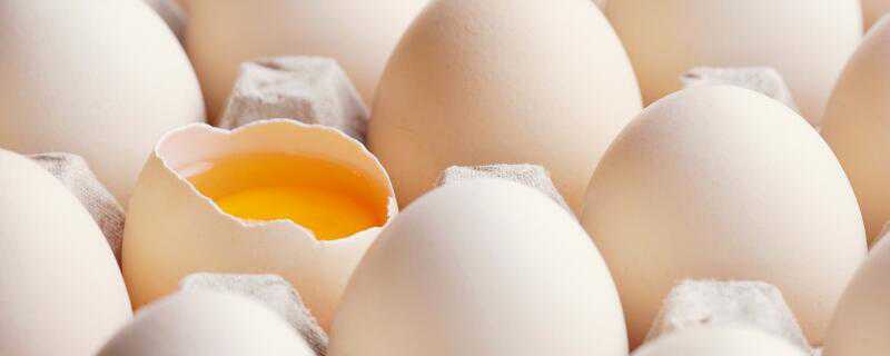 鸡蛋清可以生吃吗 生鸡蛋清能生吃吗