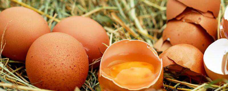国内鸡蛋可以生吃吗 国内鸡蛋可以生吃吗有毒吗