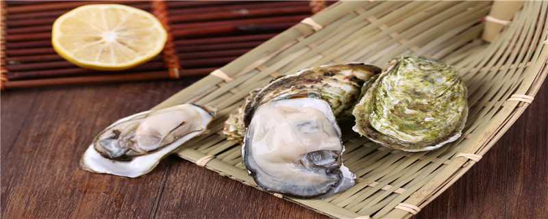 生蚝怎么繁殖 生蚝怎么繁殖小生蚝