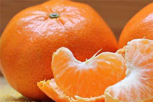 2019橘子市场价格多少钱一斤（2019橘子市场价格多少钱一斤呢）