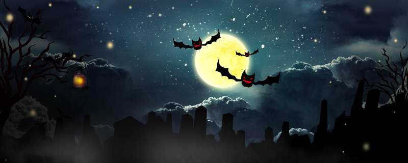 蝙蝠是怎么繁殖的（蝙蝠是什么繁殖方式）