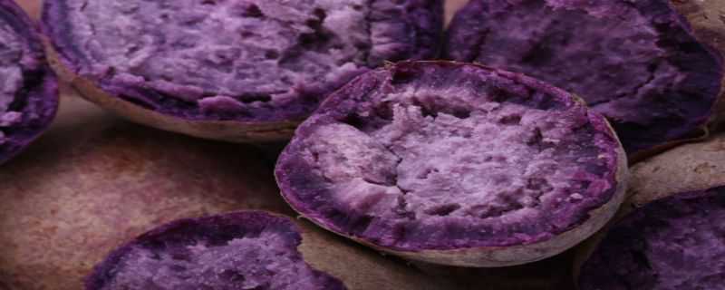 紫薯盆栽种植方法 紫薯怎么种好?紫薯的种植技术介绍