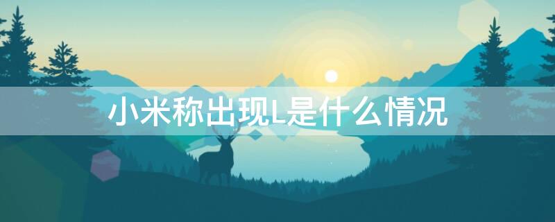 小米称出现L是什么情况