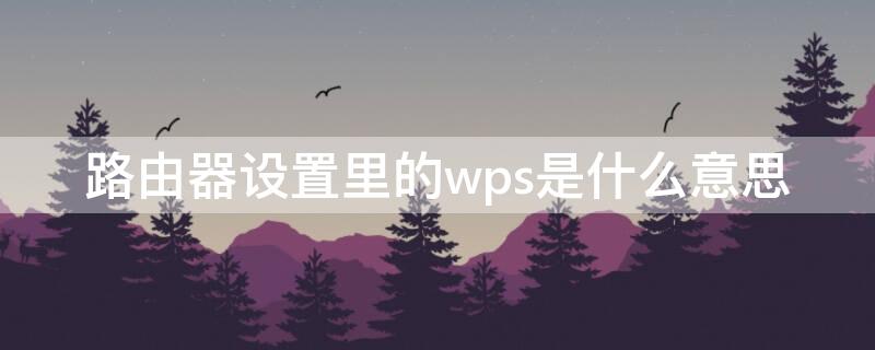 路由器设置里的wps是什么意思