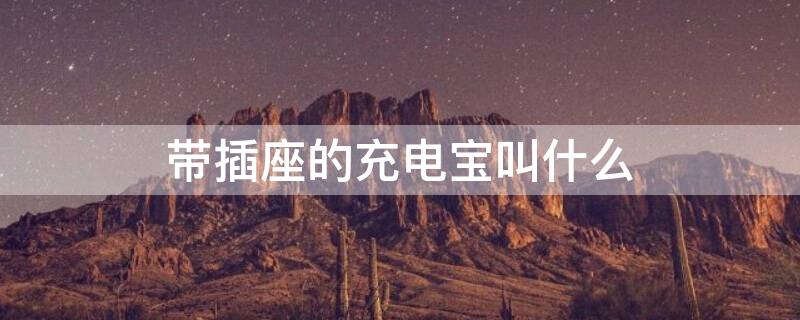 带插座的充电宝叫什么