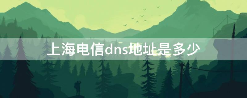 上海电信dns地址是多少