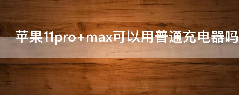 iPhone11pro max可以用普通充电器吗