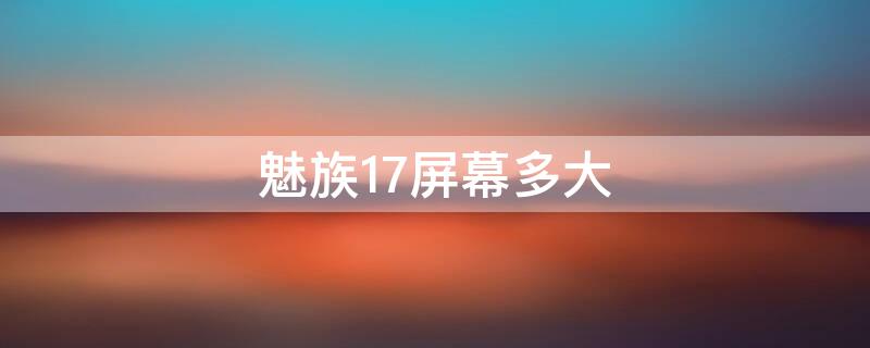 魅族17屏幕多大