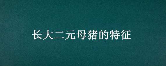 长大二元母猪的特征 长大二元母猪好还是大长二元母猪好