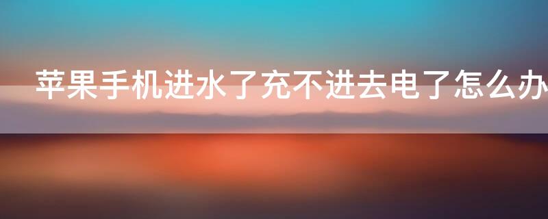 iPhone手机进水了充不进去电了怎么办