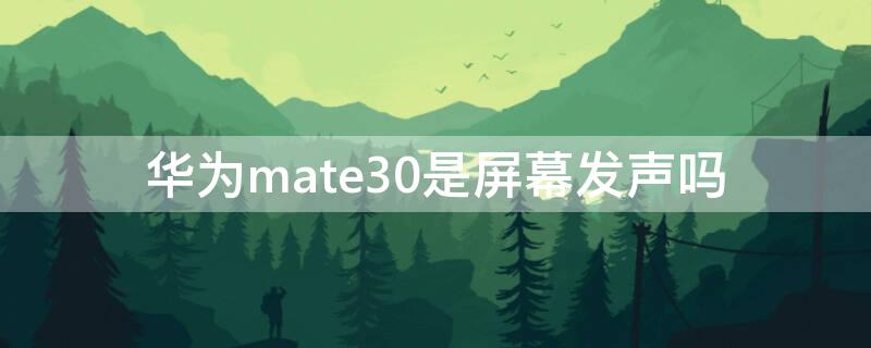 华为mate30是屏幕发声吗