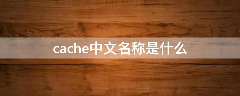cache中文名称是什么
