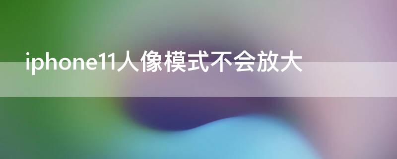 iPhone11人像模式不会放大