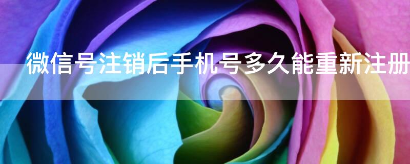 微信号注销后手机号多久能重新注册 手机号注册的微信号注销了多久才能重新注册