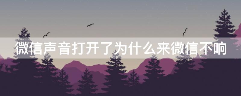 微信声音打开了为什么来微信不响（苹果手机微信声音打开了为什么来微信不响）