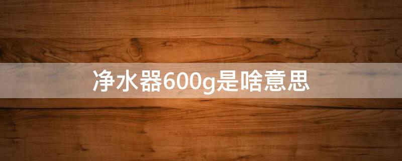 净水器600g是啥意思 净水器600G是什么意思