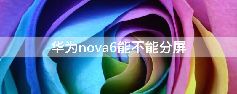 华为nova6能不能分屏 华为nova6不能分屏吗