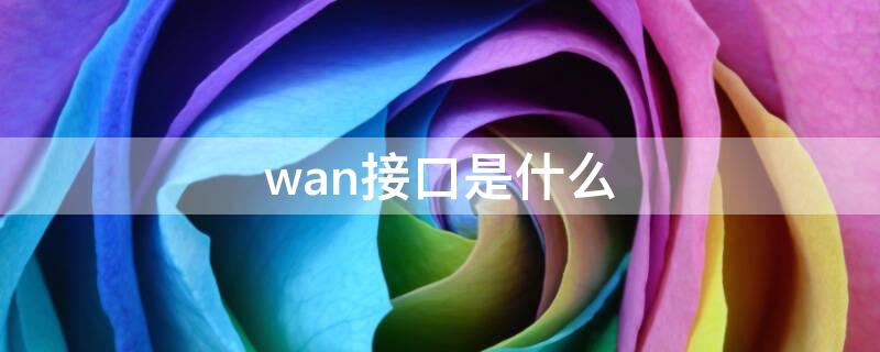 wan接口是什么 wan接口是干嘛的