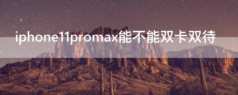 iPhone11promax能不能双卡双待（iPhone11promax是不是双卡双待）