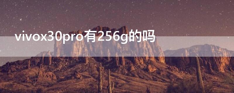 vivox30pro有256g的吗 vivox30pro256g多少钱