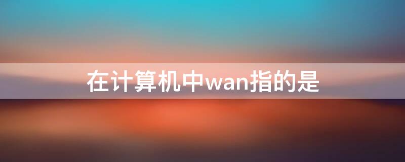在计算机中wan指的是 计算机术语中wan中文含义是