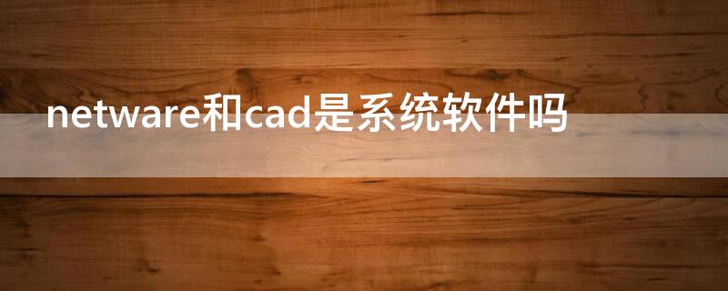 netware和cad是系统软件吗（安装cad之前需要的.net是什么软件）