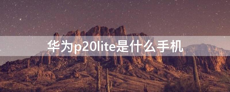 华为p20lite是什么手机 华为p20lite和华为p20区别