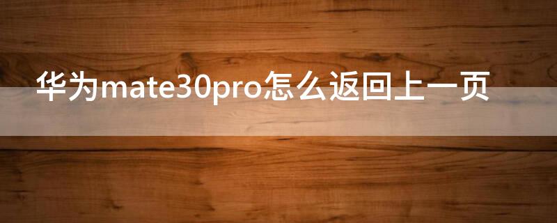 华为mate30pro怎么返回上一页 华为mate30pro怎么返回上一步