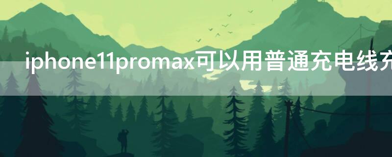 iPhone11promax可以用普通充电线充电吗（iphone11pro max可以用普通充电线充电吗）