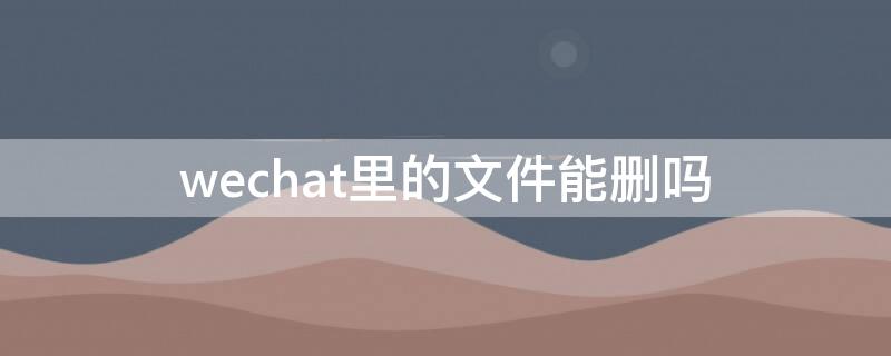 wechat里的文件能删吗 wechat files是什么文件夹可以删除