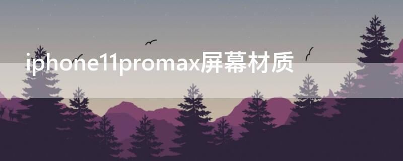 iPhone11promax屏幕材质（iphone12pro max的屏幕是什么材质）