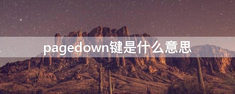 pagedown键是什么意思 PageDown键是什么意思