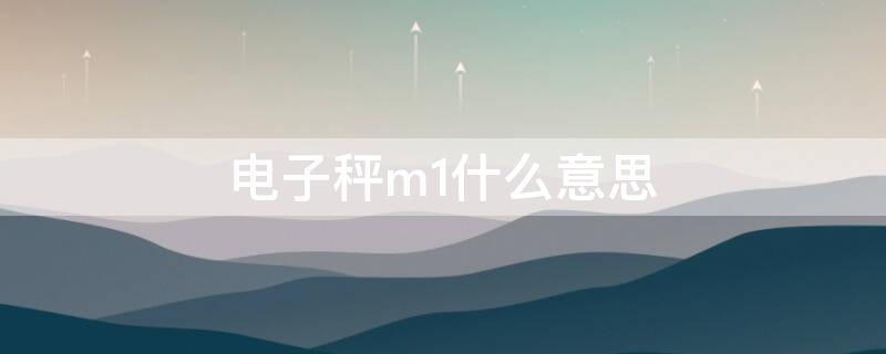 电子秤m1什么意思 电子秤m1 m2 m3是什么意思