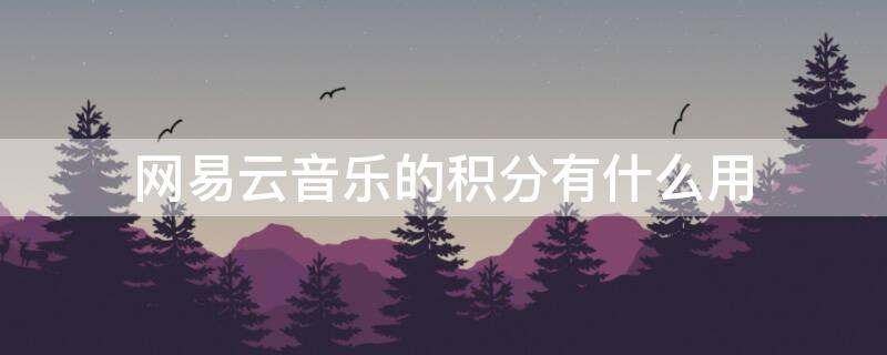 网易云音乐的积分有什么用（网易云音乐里面的积分有什么用）