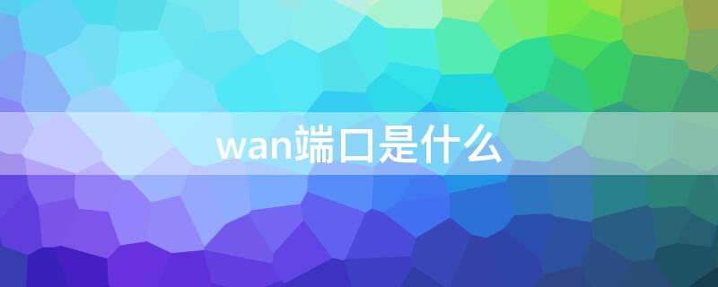wan端口是什么 wan1是什么端口