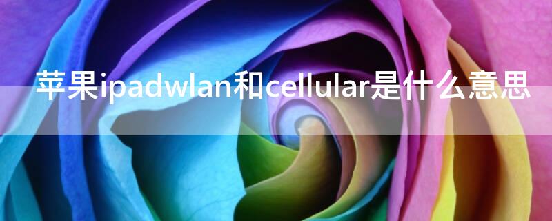 iPhoneipadwlan和cellular是什么意思 ipadprowlan和cellular