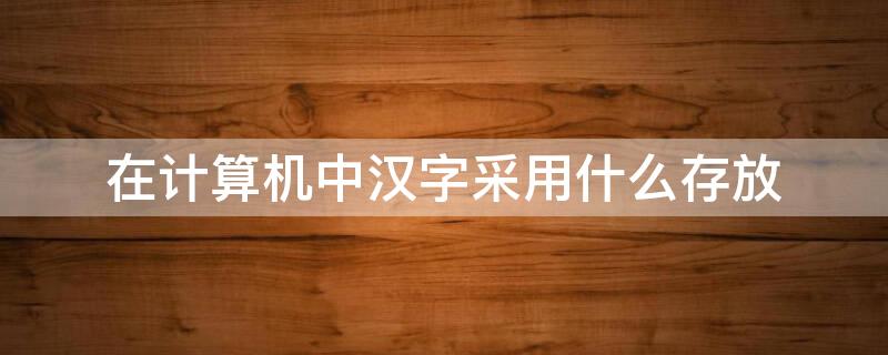 在计算机中汉字采用什么存放 计算机对汉字进行处理和存储时使用汉字的什么