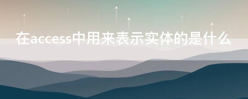 在access中用来表示实体的是什么（access中用来表示每个实体的是）