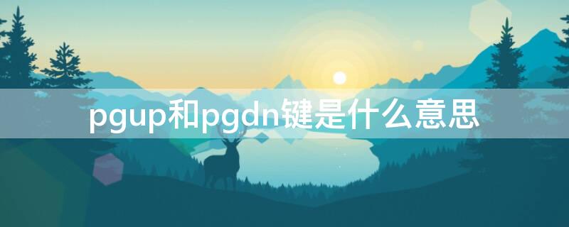 pgup和pgdn键是什么意思（pgdn键是哪个）