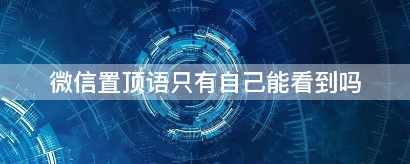 微信置顶语只有自己能看到吗 微信置顶语怎么看不见了