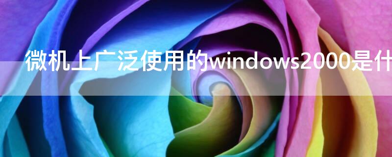 微机上广泛使用的windows2000是什么（微机上广泛使用的windows 2000是什么）