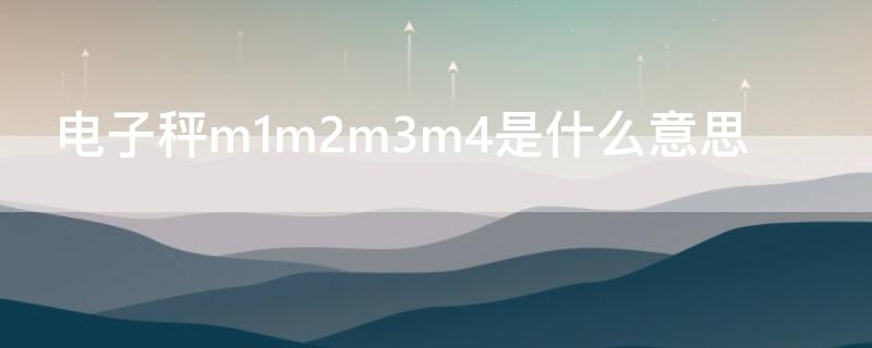 电子秤m1m2m3m4是什么意思（电子秤上的m1m2m3m4m5m6是什么意思）