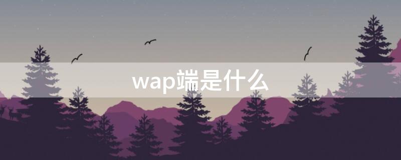 wap端是什么（wap端是什么端）