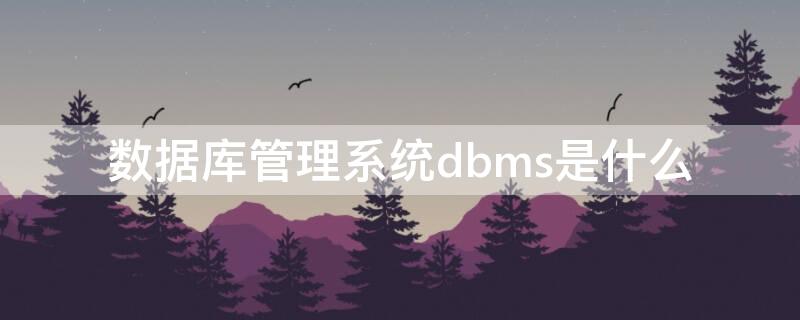 数据库管理系统dbms是什么（数据库管理系统dbms是什么系统）