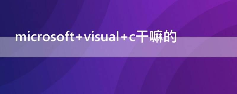 microsoft microsoft是什么意思